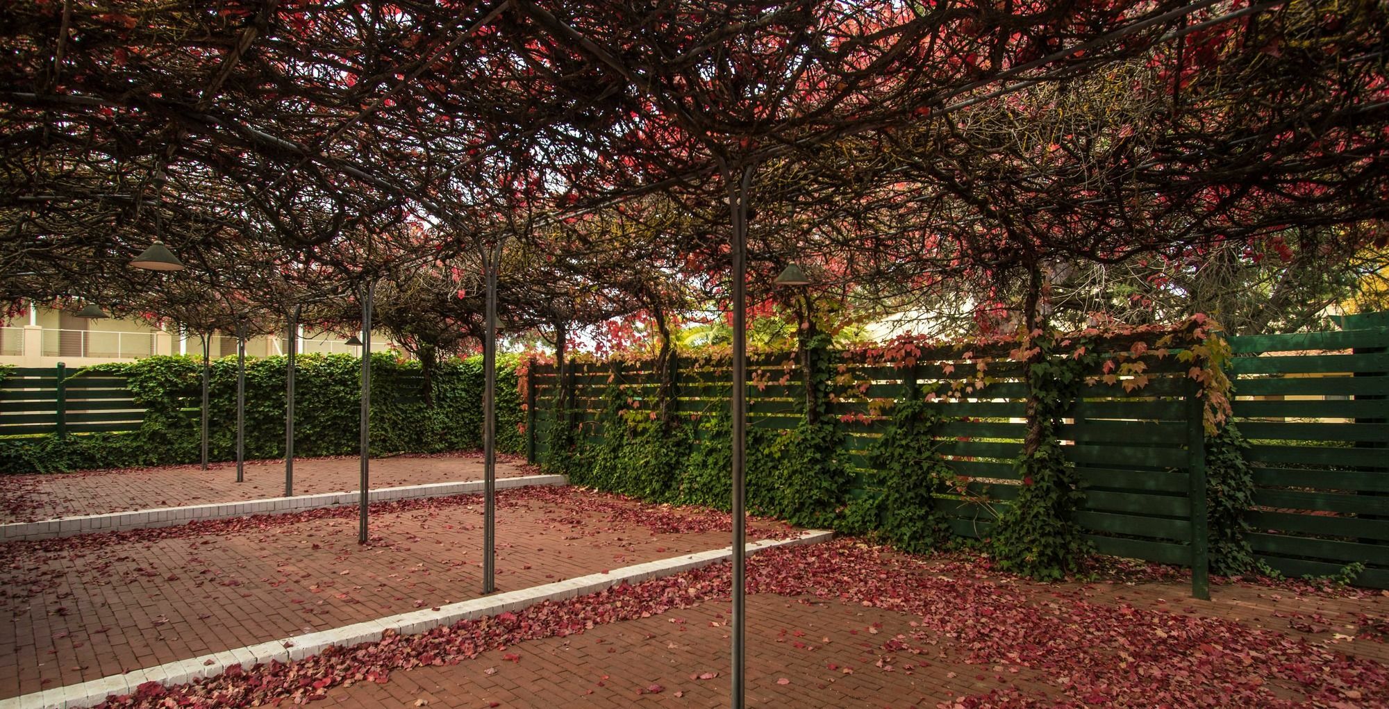 Barossa Weintal Hotel Tanunda Extérieur photo